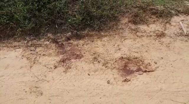 বন্য হাতির তাণ্ডবে মৃত এক বৃদ্ধ