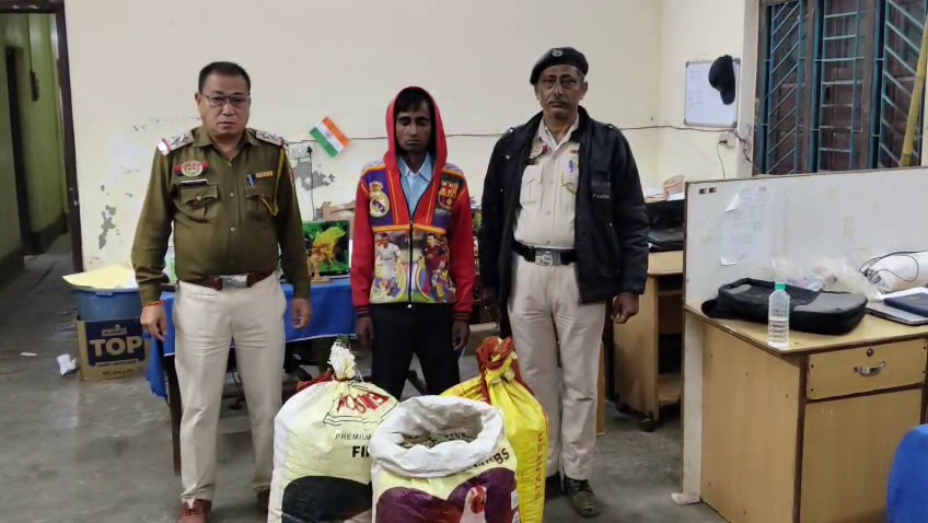 গাজার ডিপুতে পরিণত হয়েছে সিধাই থানা